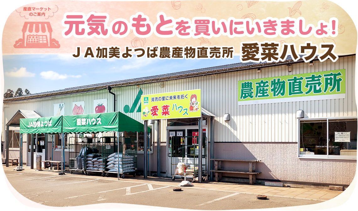愛菜ハウスの外観