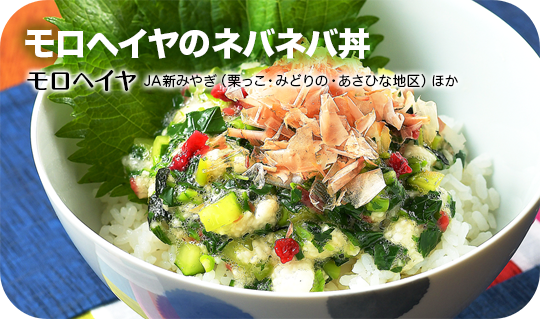 最新のふるさとレシピ１